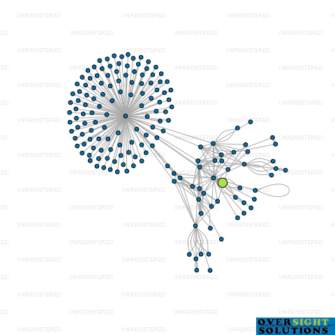 Network diagram for CONNECTORS NZ LTD