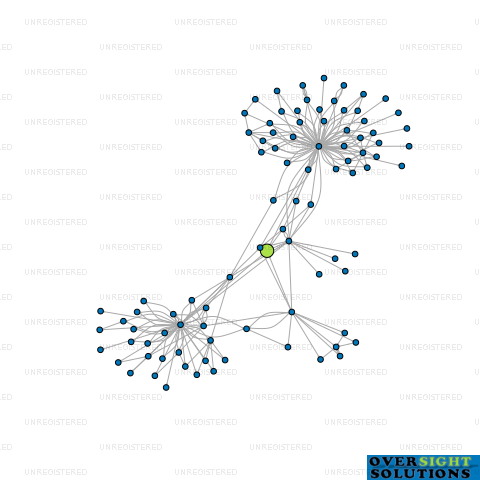 Network diagram for CONNECT NZ LTD