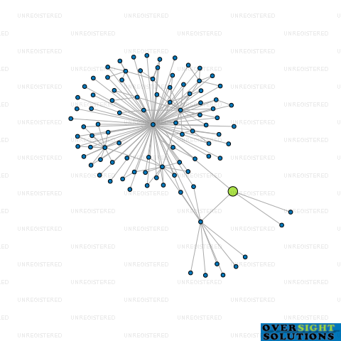 Network diagram for PLACEMAKERS CO 2 LTD