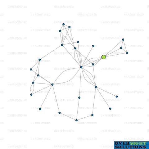 Network diagram for THE BARE COMPANY INVESTMENT FUND LTD