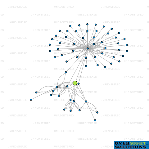 Network diagram for MODTEC HOLDINGS LTD