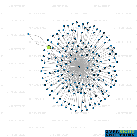 Network diagram for TSAHAI LTD