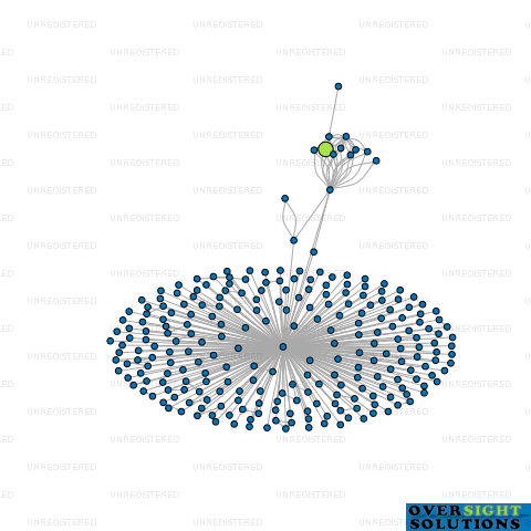 Network diagram for MONTEZUMA PROPERTY LTD